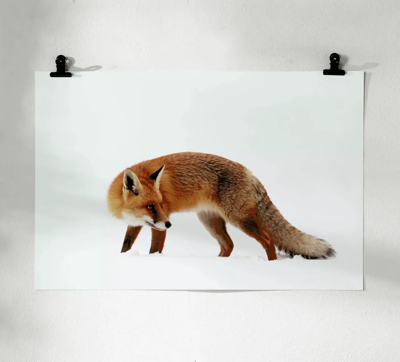 Fox In A White World - Roeselien Raimond carta hahnemühle da Pictufy