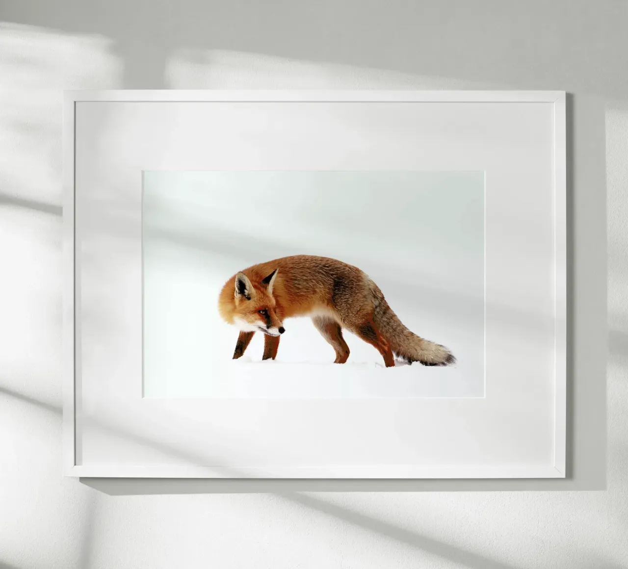 Fox In A White World - Roeselien Raimond carta hahnemühle da Pictufy