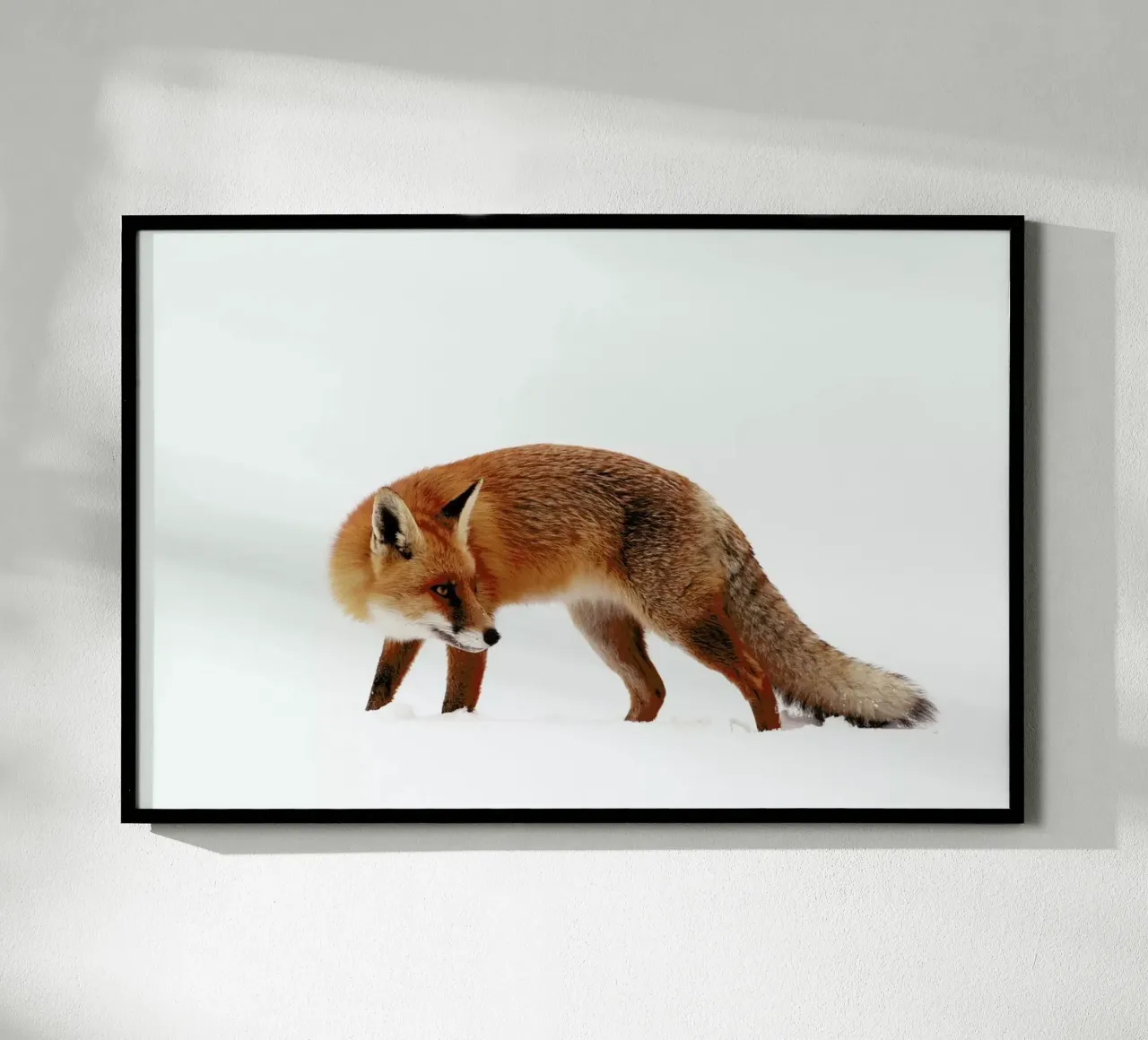 Fox In A White World - Roeselien Raimond carta hahnemühle da Pictufy