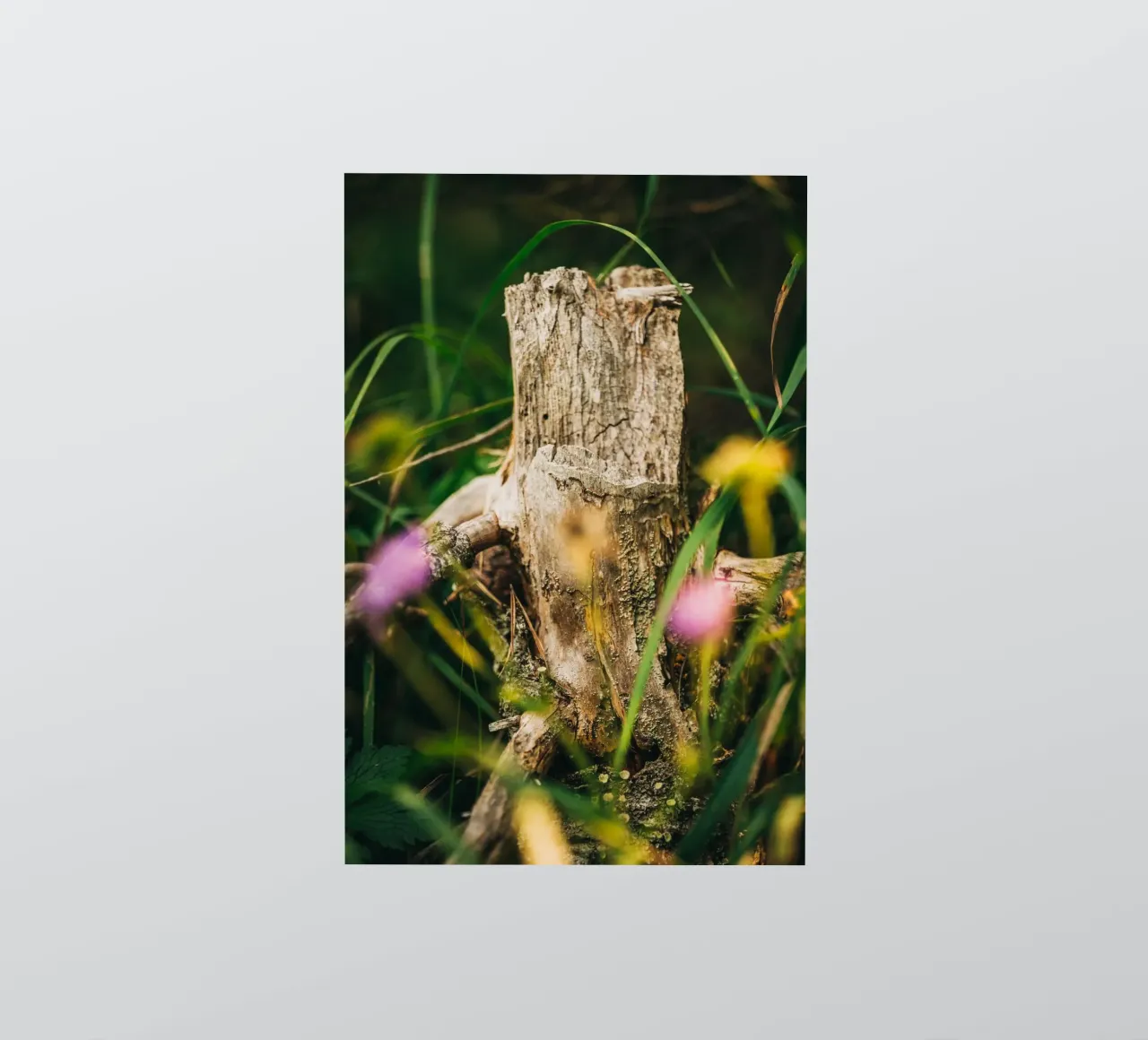 Tree trunk and flowers - nature photography from the Alps sticker by Bold and Retro