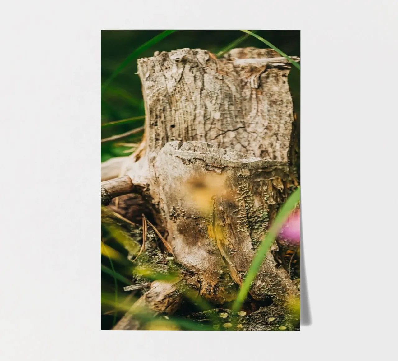 Tree trunk and flowers - nature photography from the Alps sticker sheet by Bold and Retro