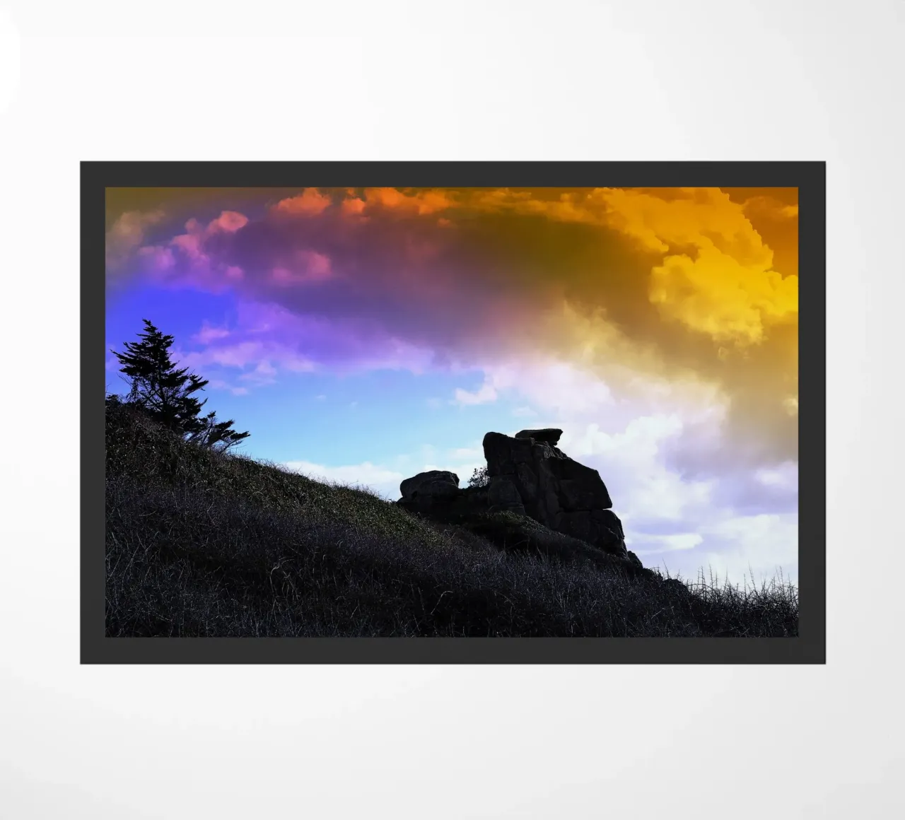 FAA128 zerbino da Thierry vobmann photography