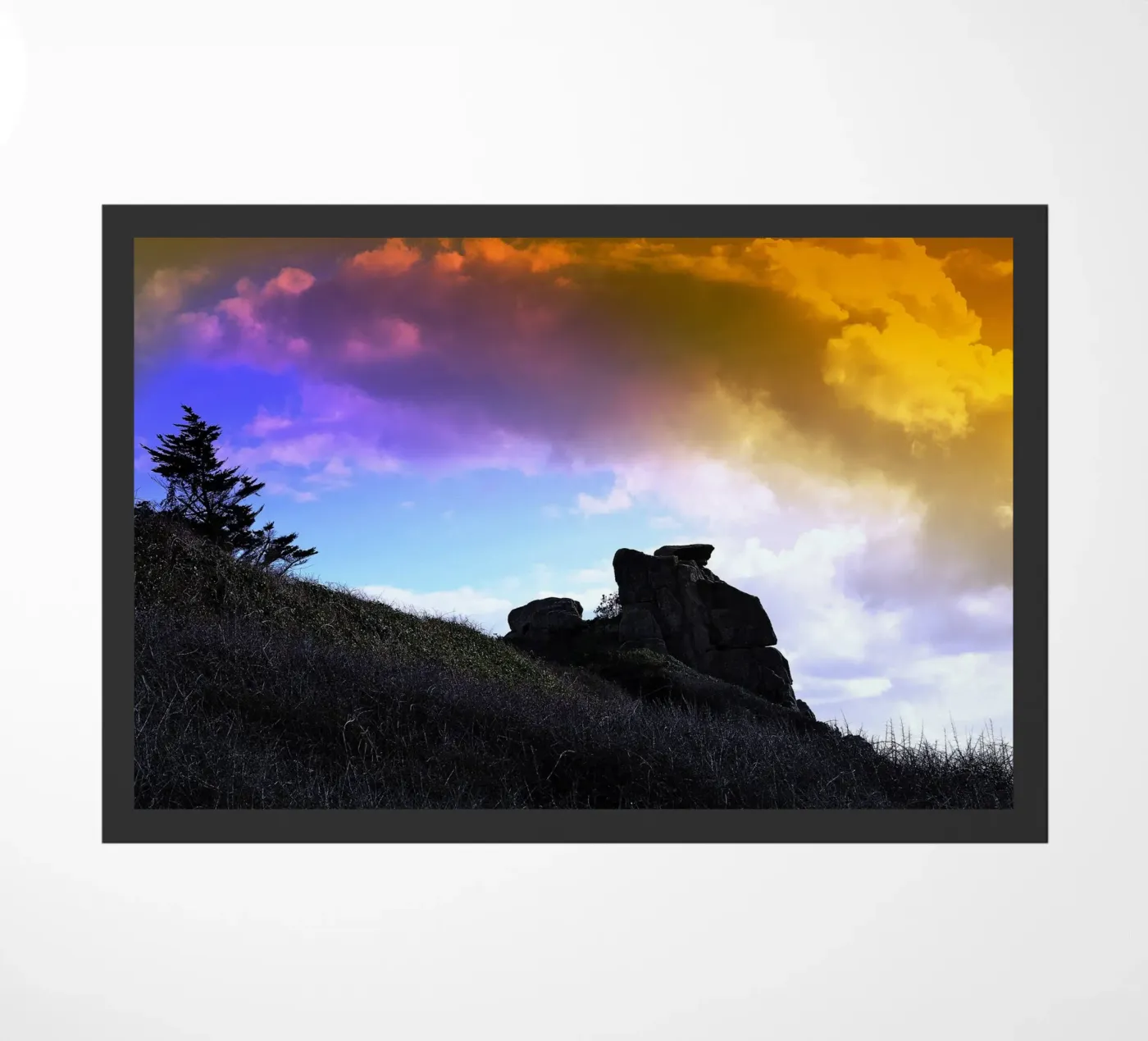 FAA128 zerbino da Thierry vobmann photography