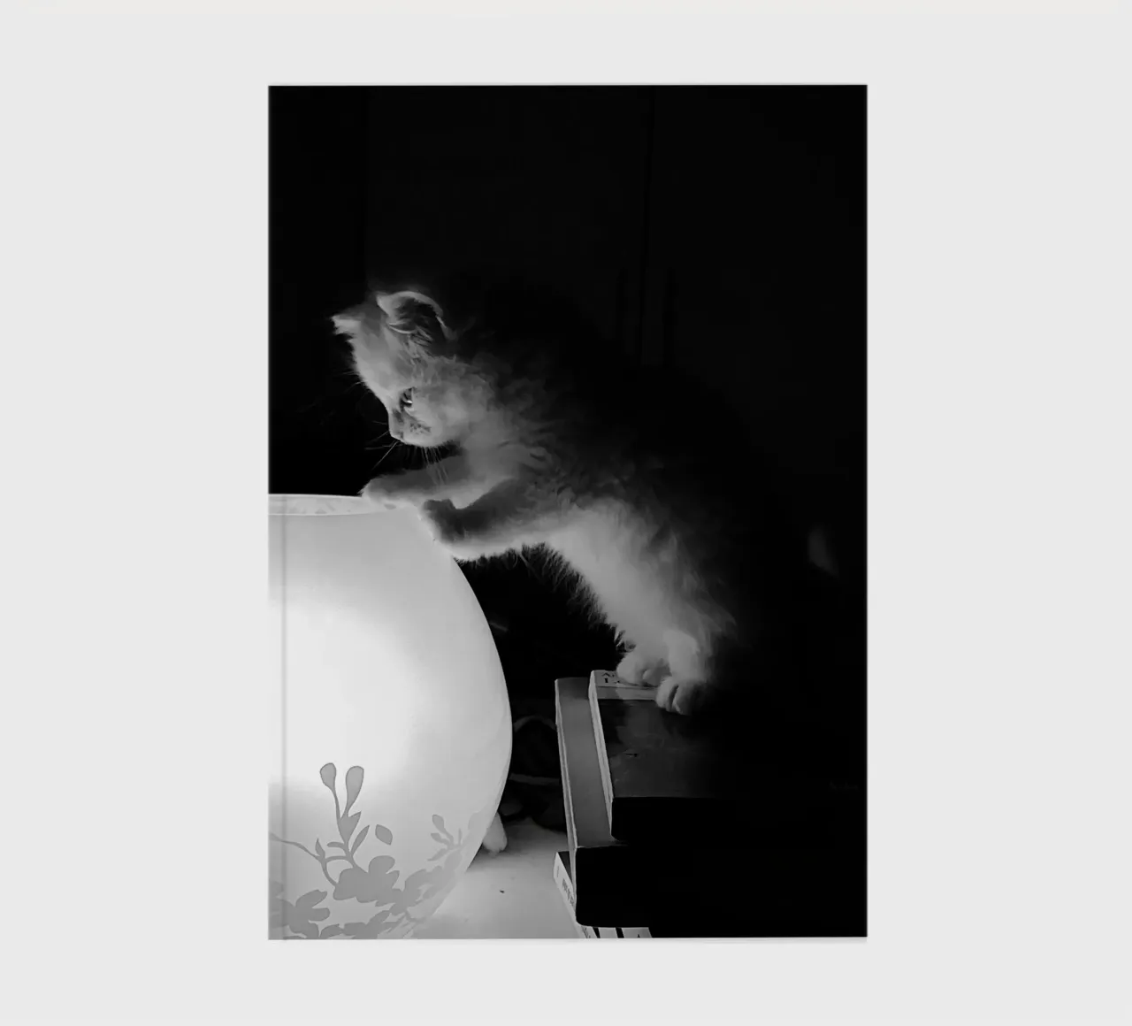 Lully the cat notebook by DragonFly