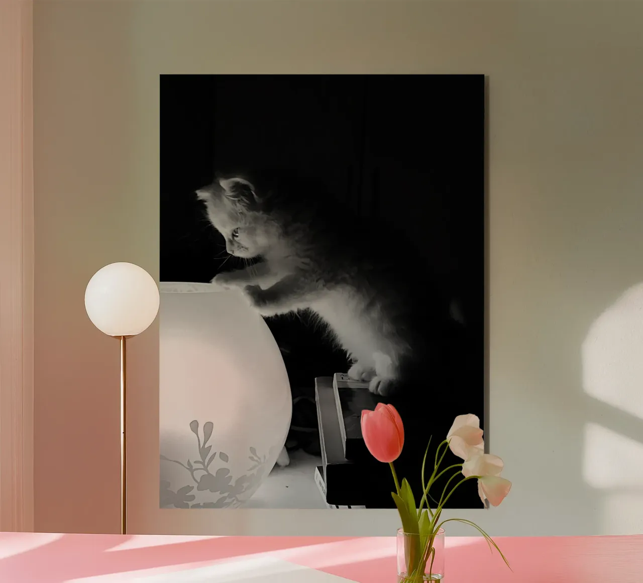 Lully the cat alluminio dibond da DragonFly