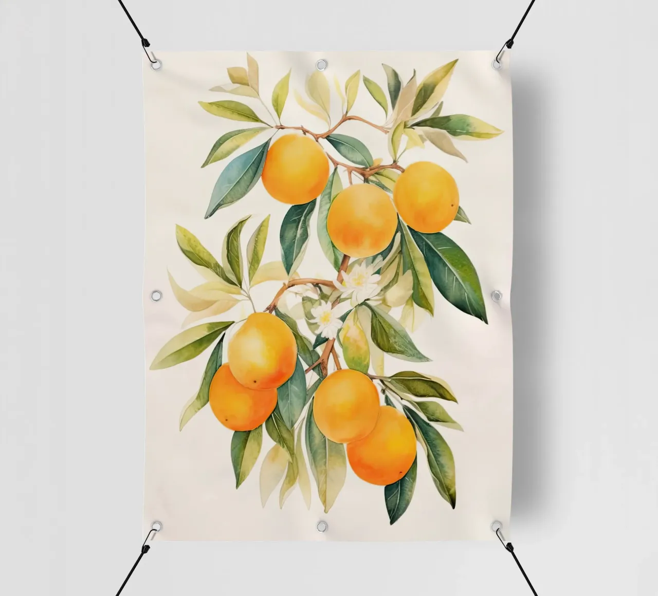 Piante di agrumi telo in pvc da DaarbyN
