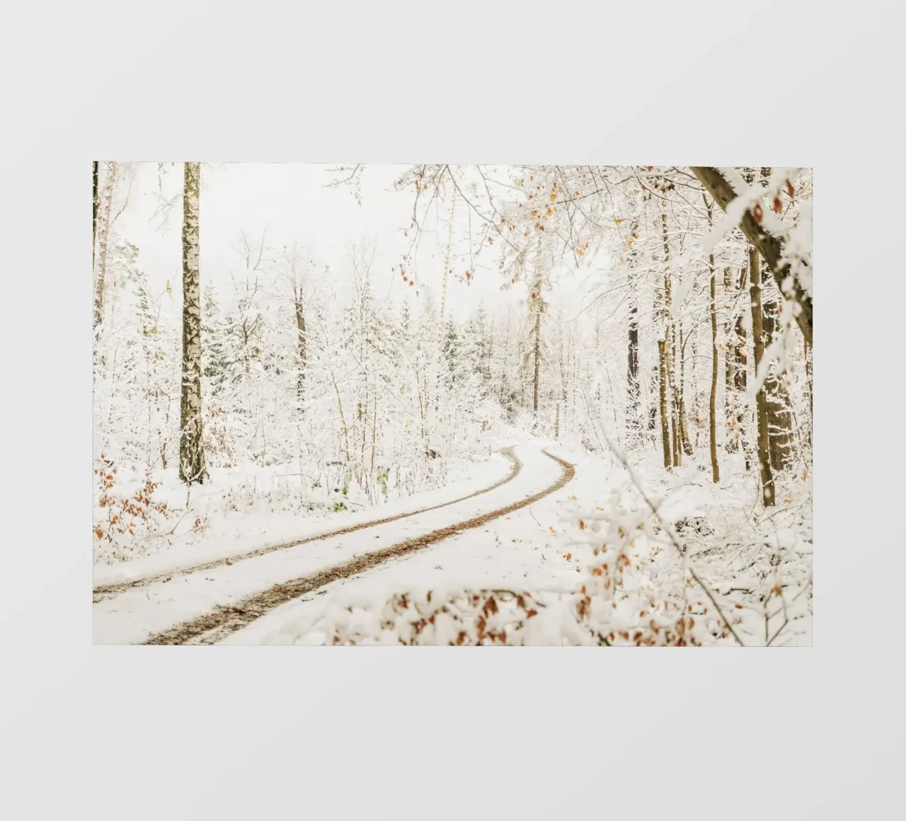 Snow-covered forest path - Winter in Saxon Switzerland photo wallpaper by Bold and Retro
