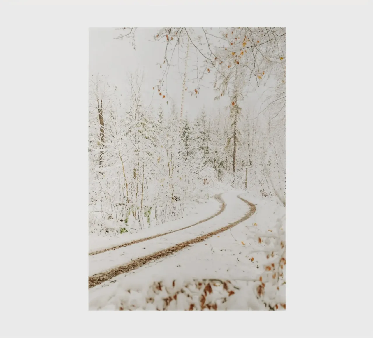 Snow-covered forest path - Winter in Saxon Switzerland notebook by Bold and Retro