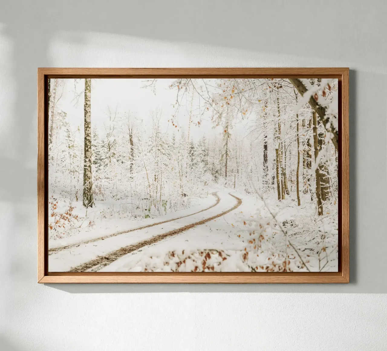 Snow-covered forest path - Winter in Saxon Switzerland canvas with Floater frame by Bold and Retro