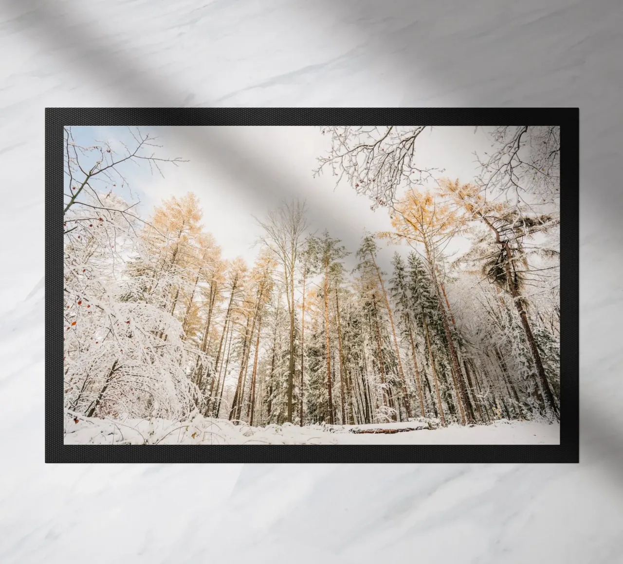 Bosco invernale con alberi innevati - Svizzera sassone zerbino da Bold and Retro