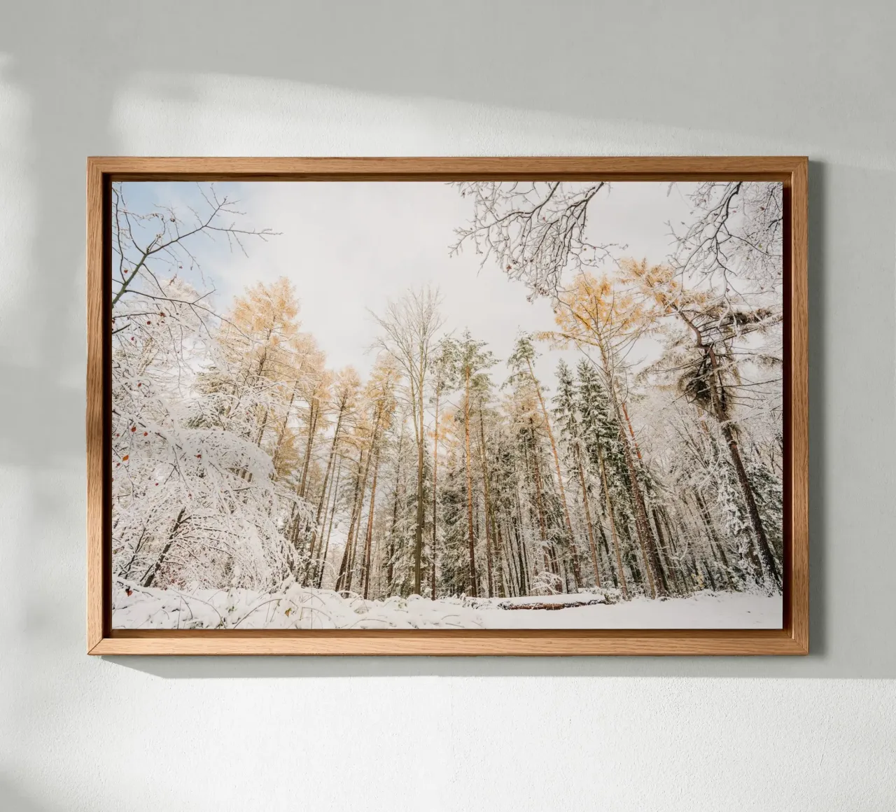 Winter forest with snow-covered trees - Saxon Switzerland canvas by Bold and Retro