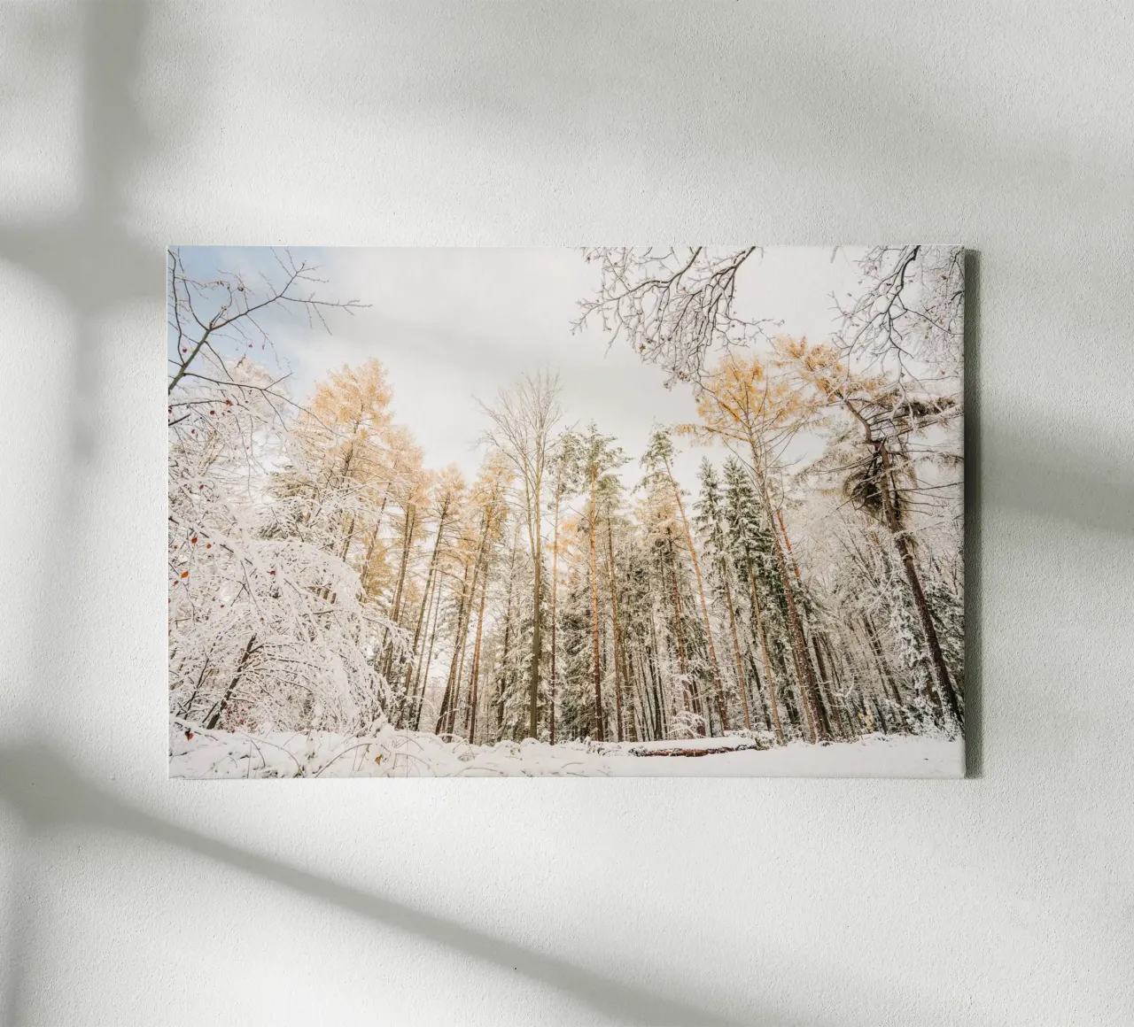 Winter forest with snow-covered trees - Saxon Switzerland canvas by Bold and Retro