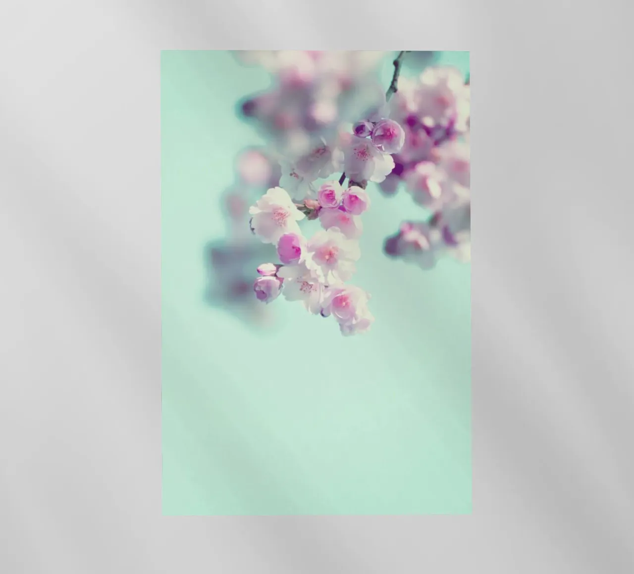 Cherry Dance pellicola backlit da Monika Strigel