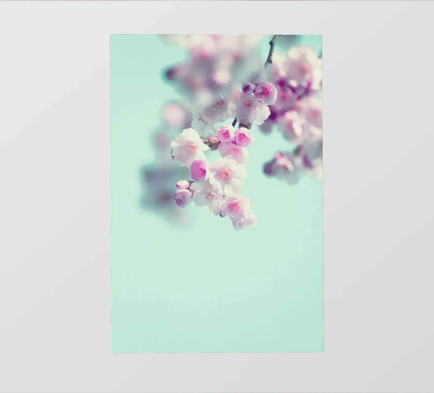 Cherry Dance backlit folie van Monika Strigel
