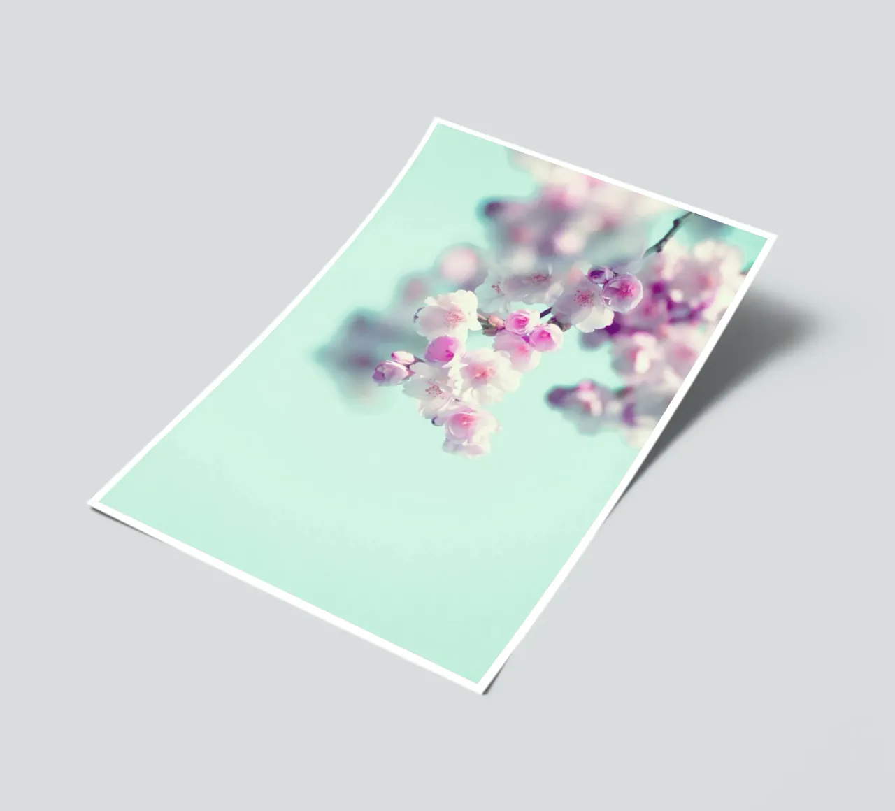 Cherry Dance sticker sheet by Monika Strigel