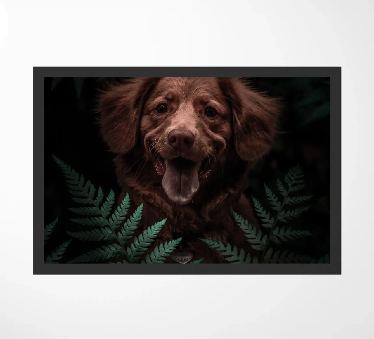Cane marrone nella foresta zerbino da arizrab