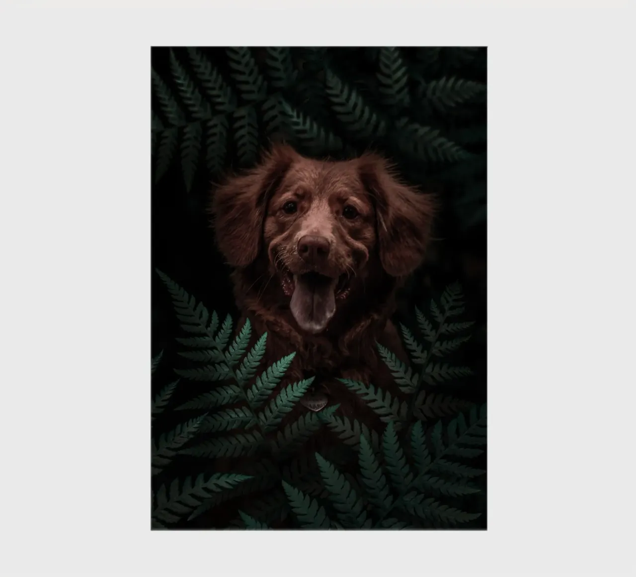 Chien brun dans la forêt carnet de notes de arizrab
