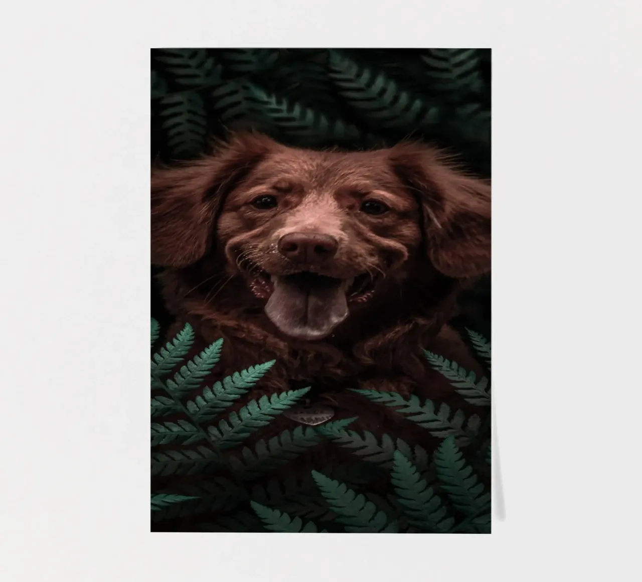 Chien brun dans la forêt planche autocollant de arizrab