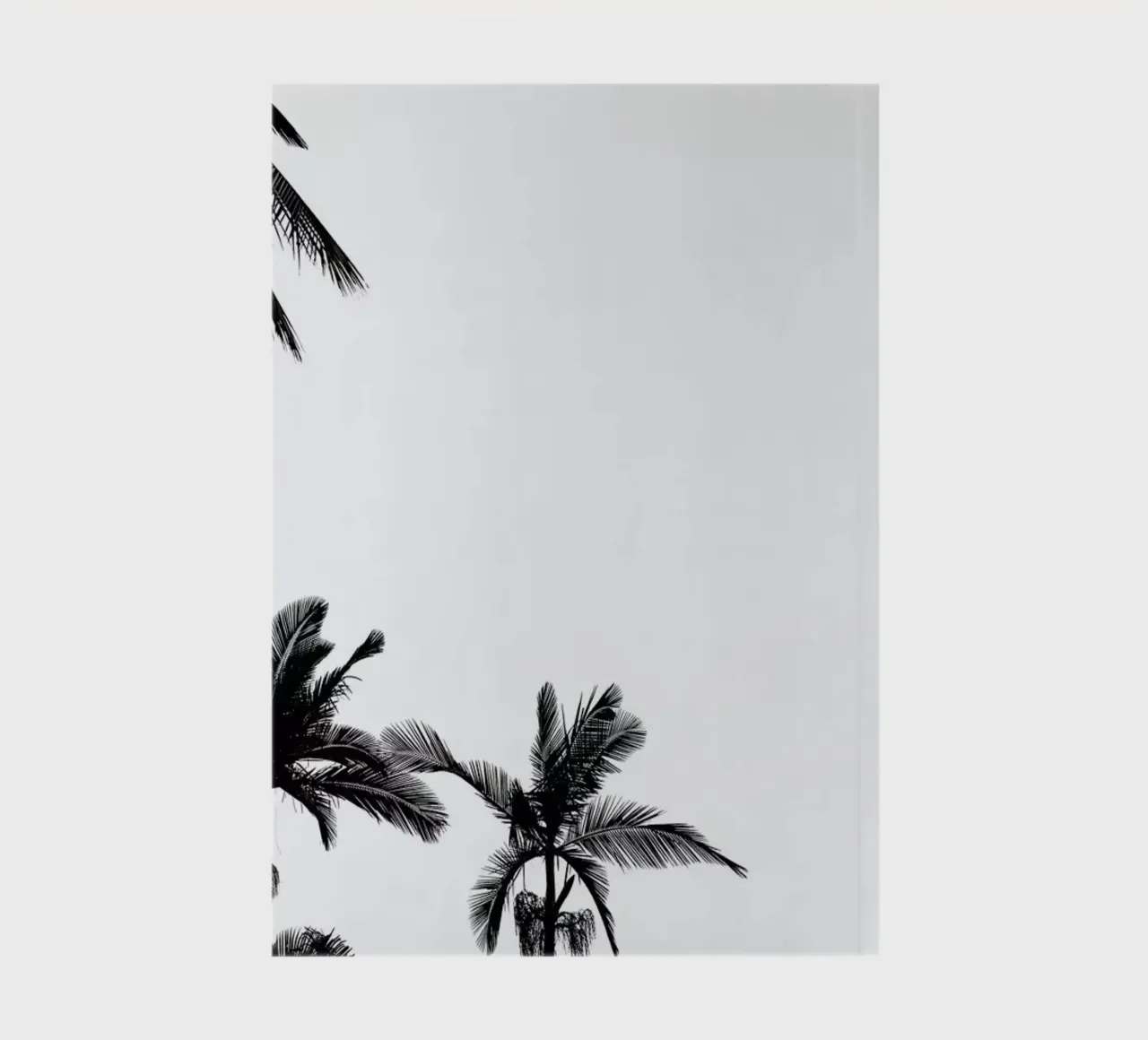 Palm Shade 4 notebook by Chris Abatzis