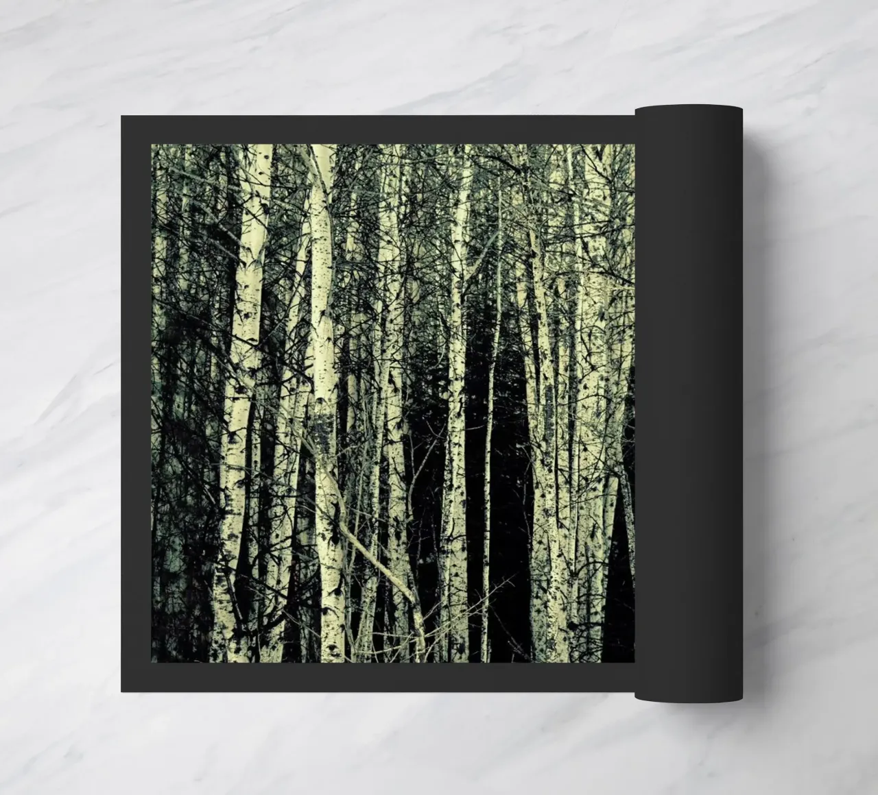 Birch zerbino da Robin Delean