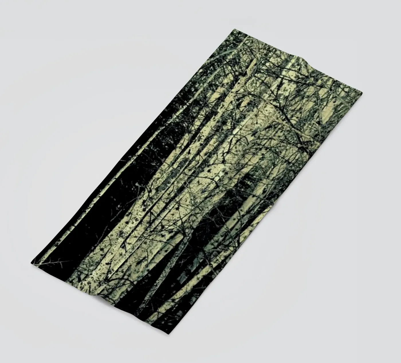 Birch telo mare da Robin Delean
