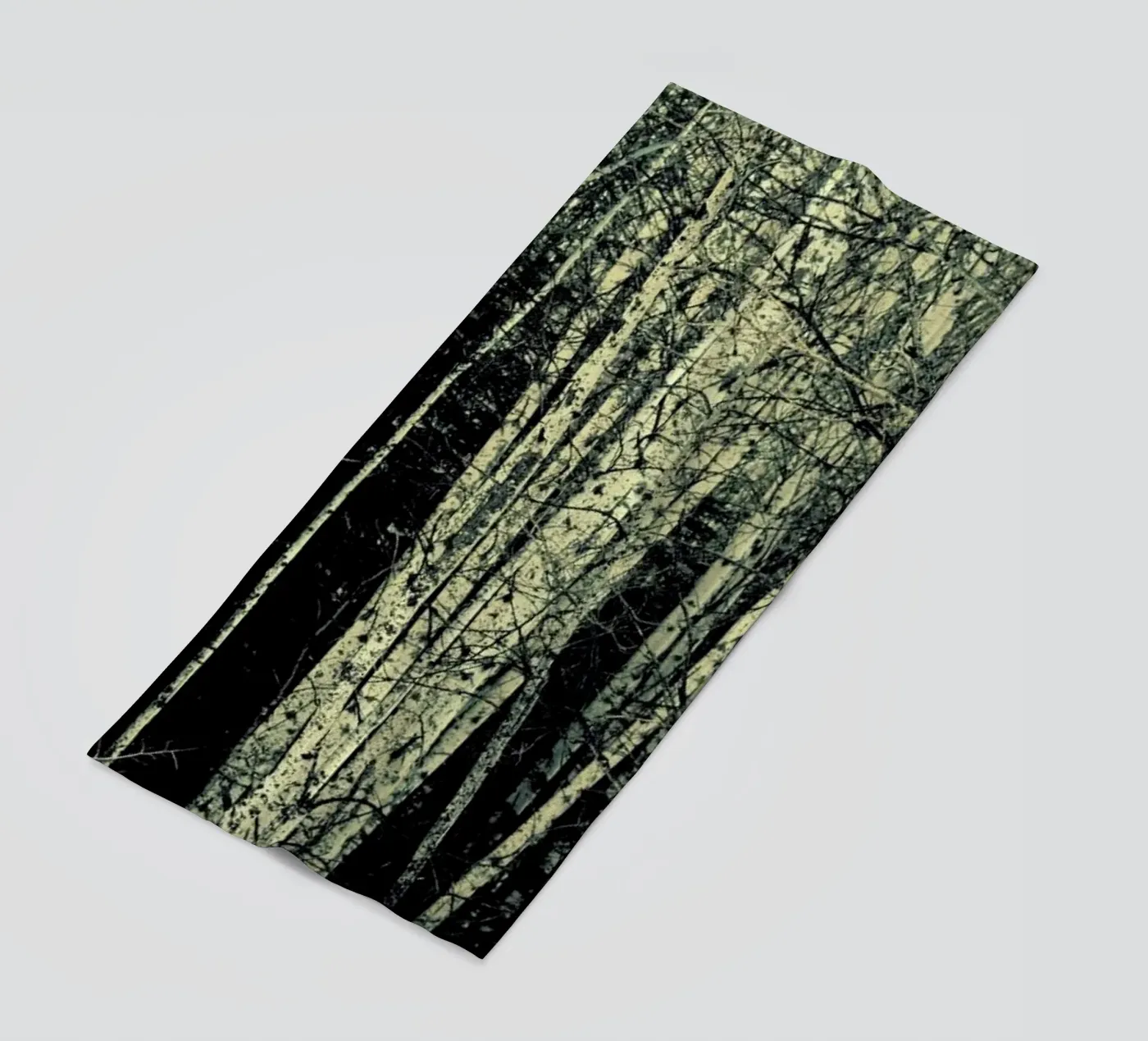 Birch telo mare da Robin Delean