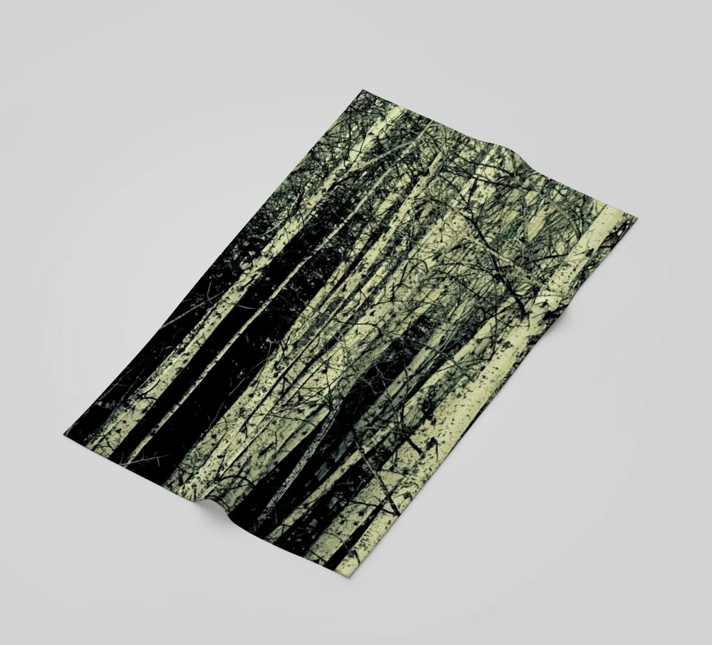 Birch telo mare da Robin Delean