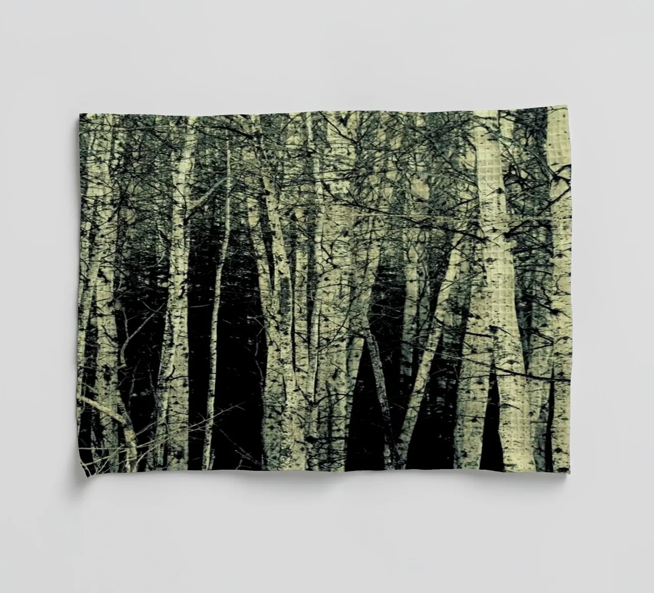 Birch torchon de Robin Delean