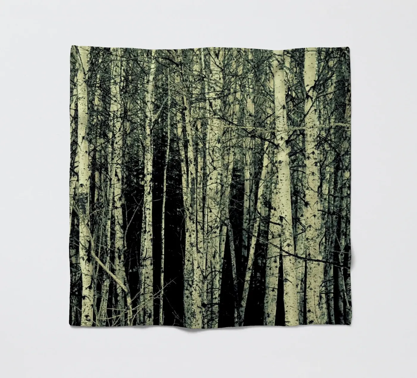 Birch Fleecedecke von Robin Delean