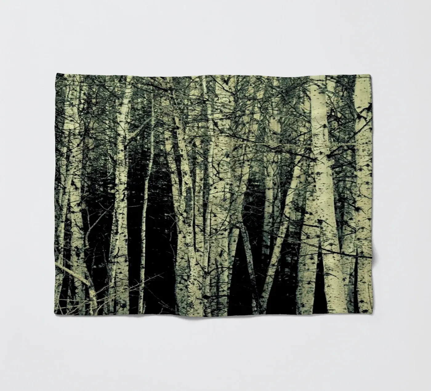 Birch Fleecedecke von Robin Delean