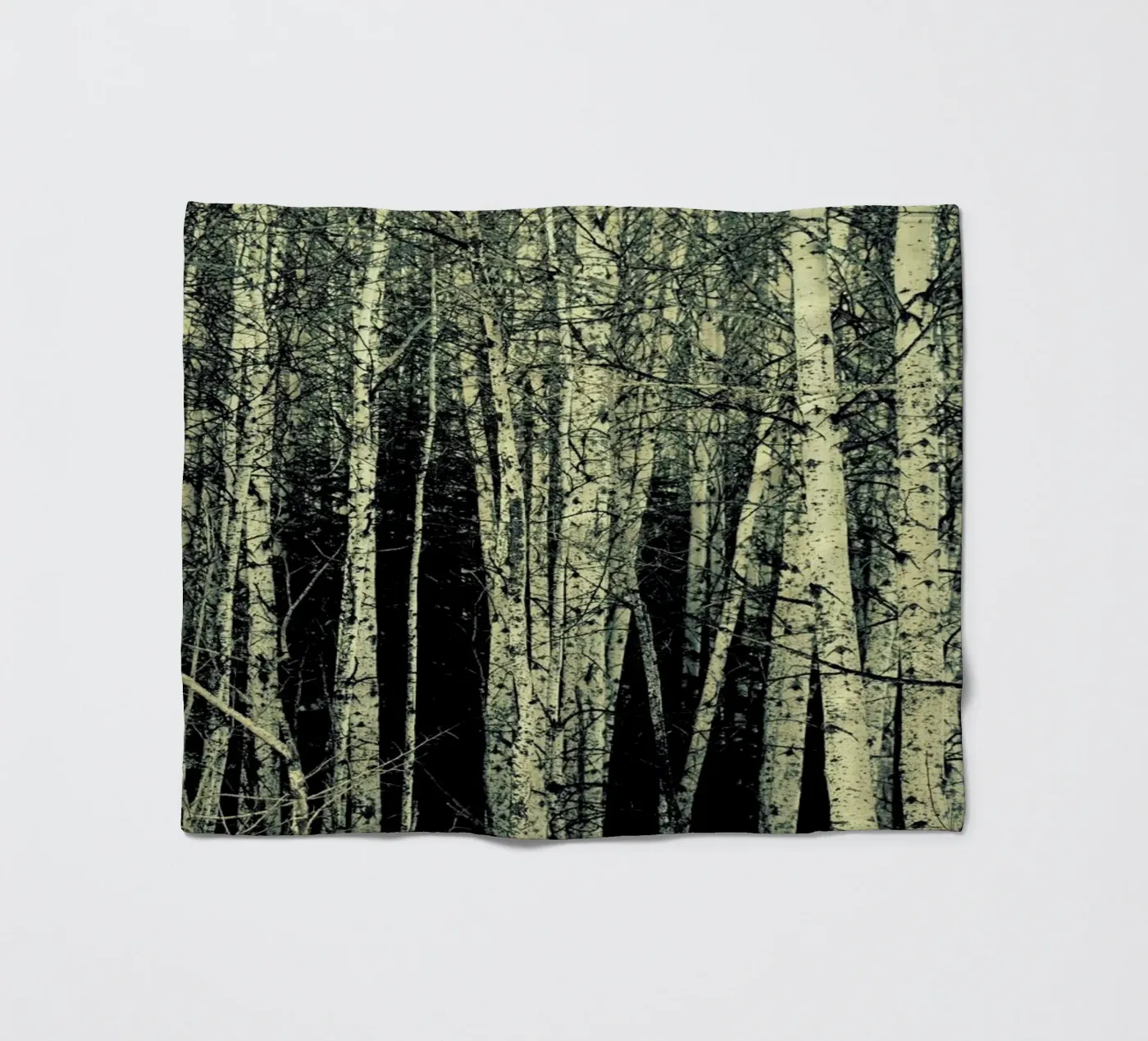 Birch Fleecedecke von Robin Delean