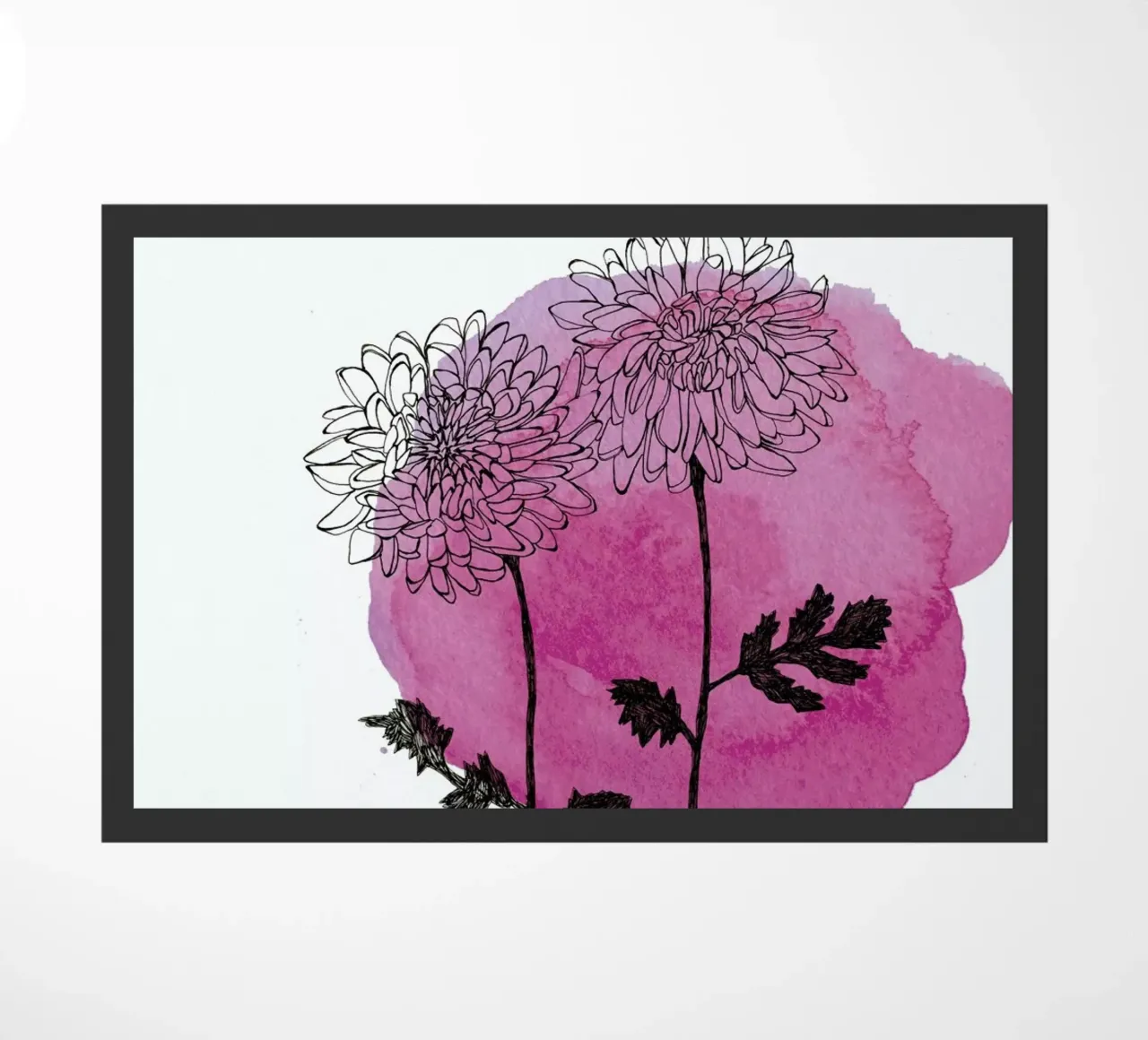 Chrysanthemum zerbino da Morgan Kendall