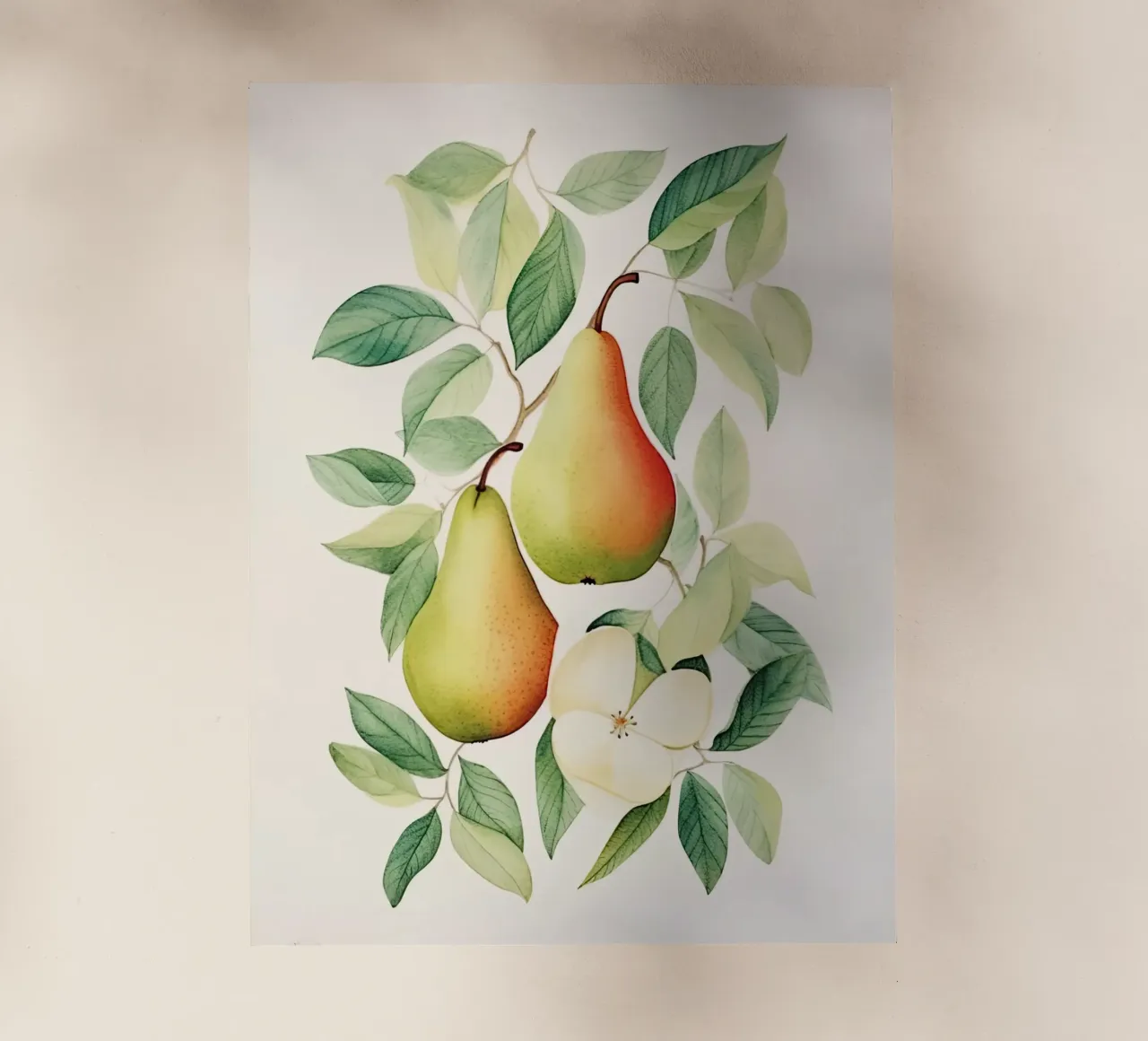 Pears pellicola backlit da DaarbyN