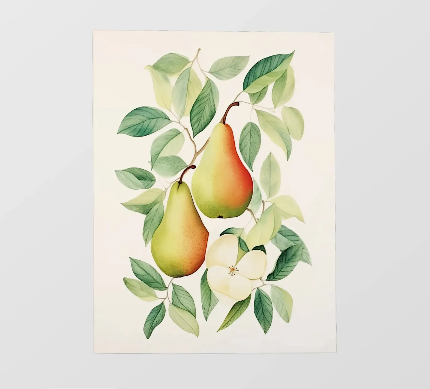 Pears fotobehang van DaarbyN