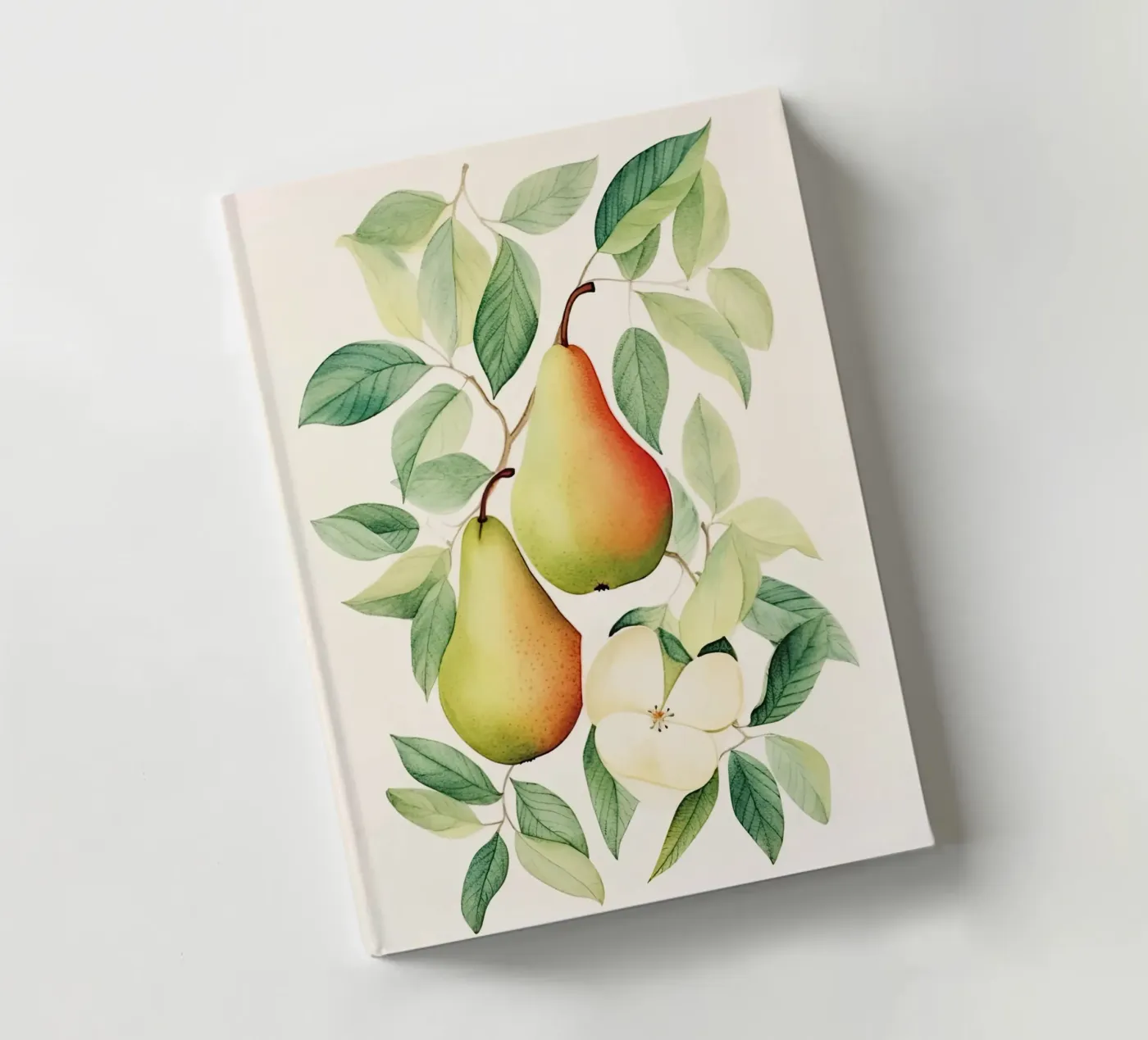 Pears notebook by DaarbyN