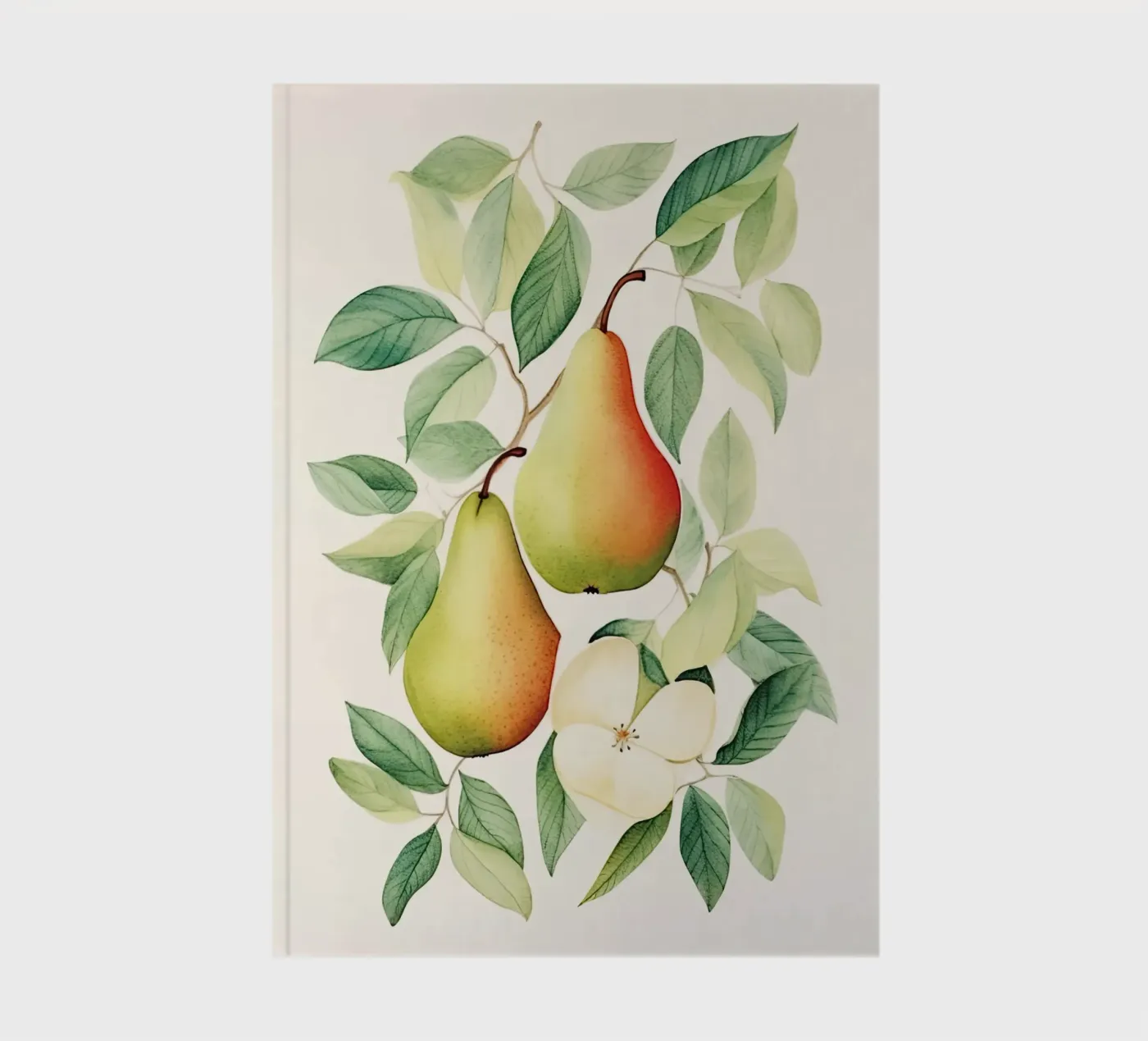 Pears notebook by DaarbyN