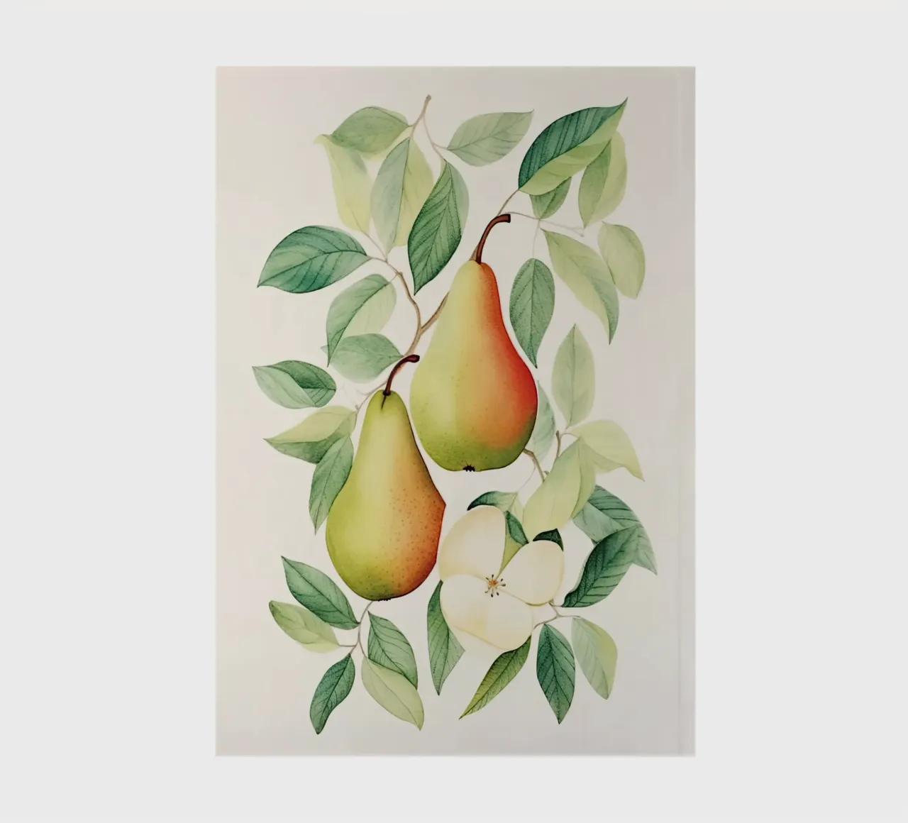 Pears notebook by DaarbyN