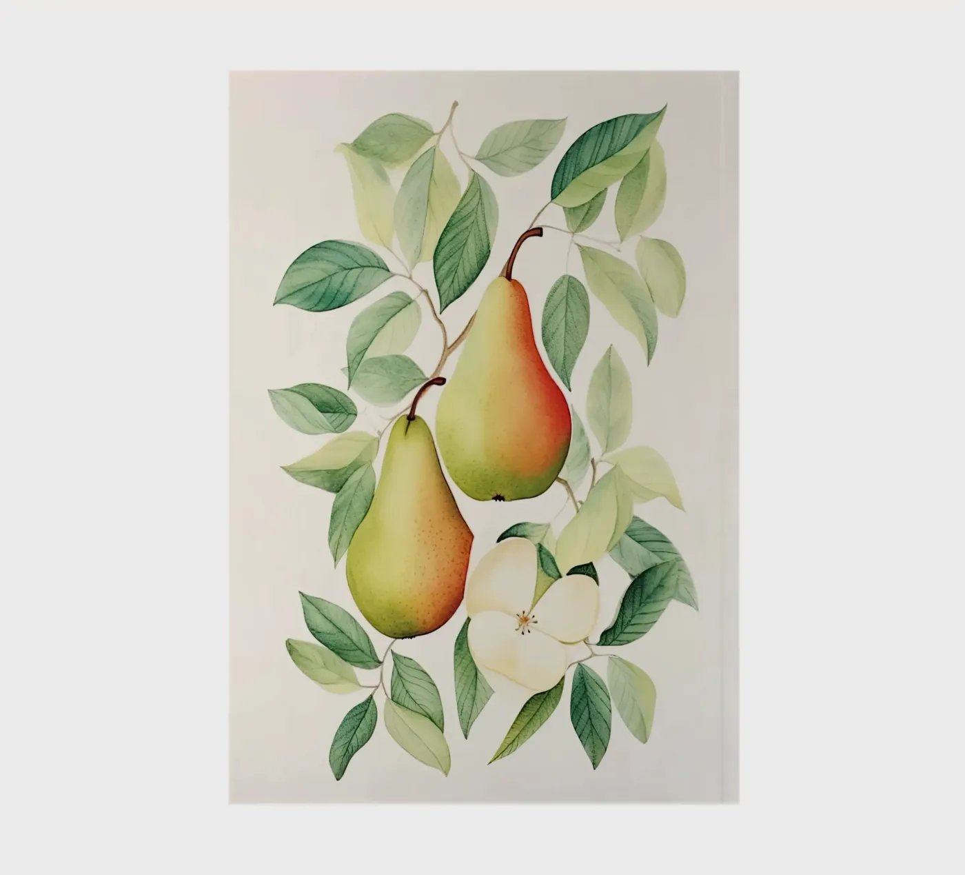 Pears notebook by DaarbyN
