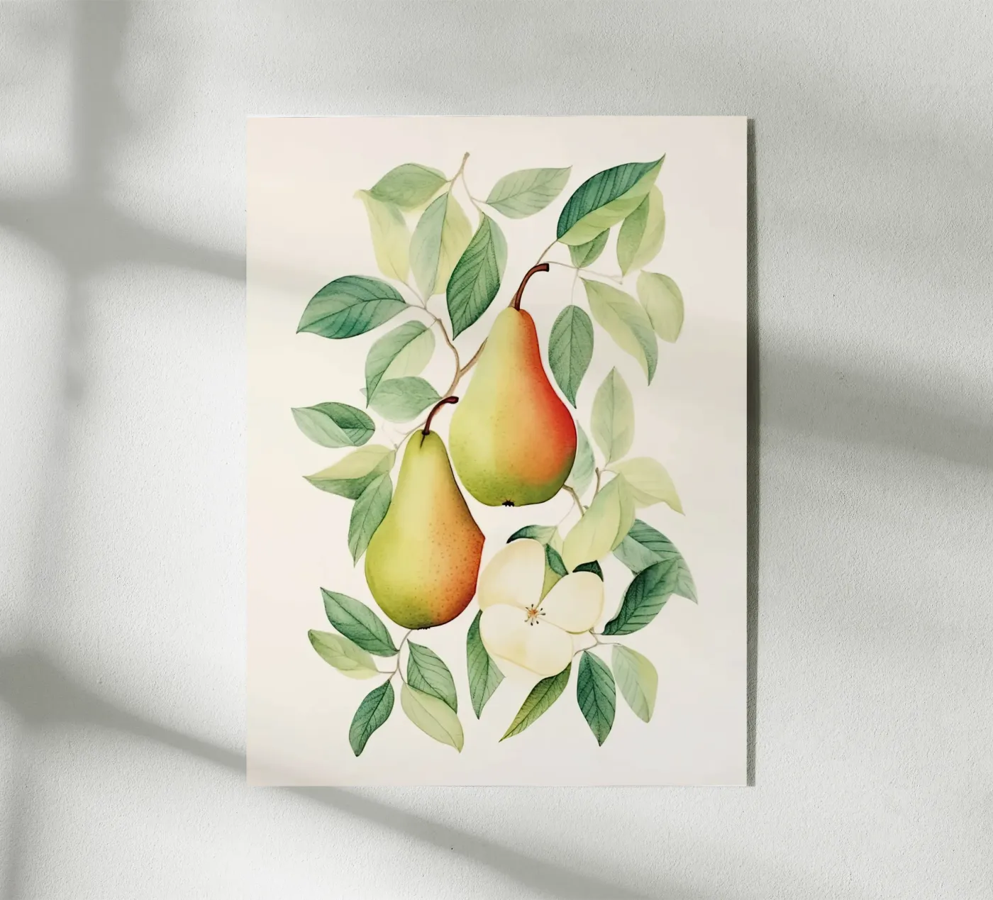 Pears Acryl-Glas von DaarbyN