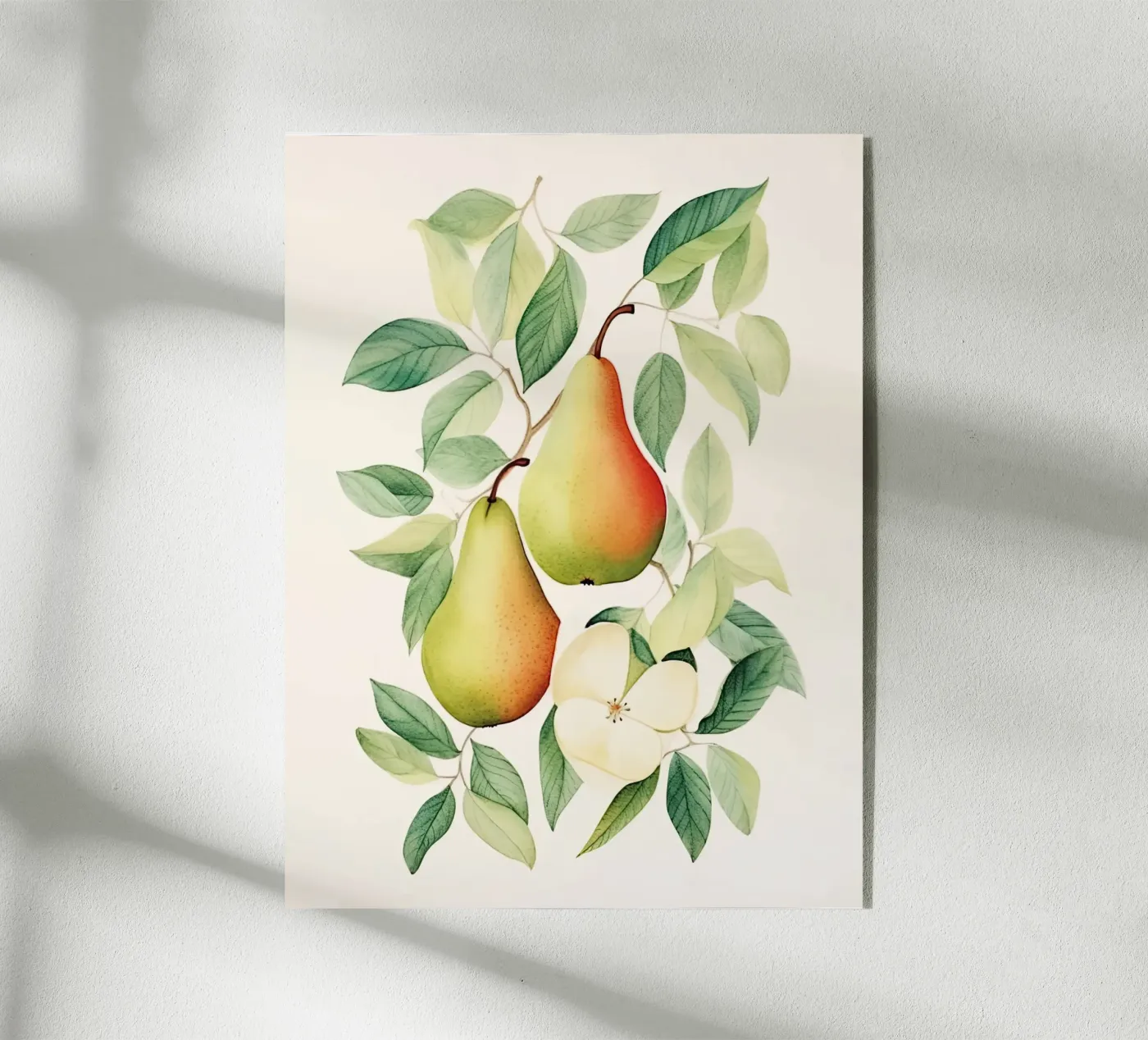Pears plexiglas de DaarbyN