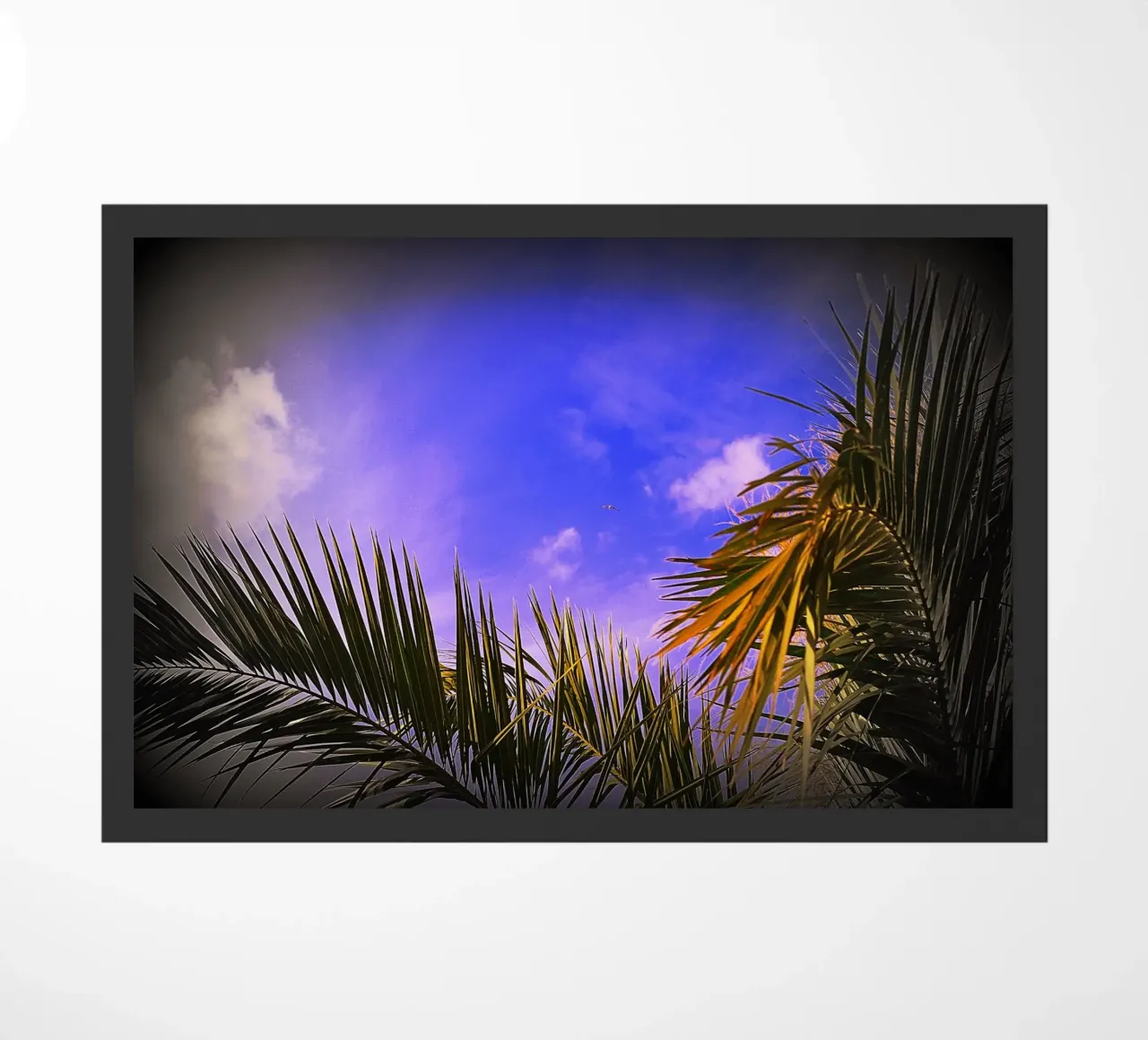 FAA129 doormat by Thierry vobmann photography