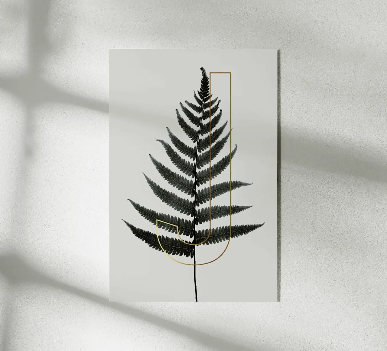 ABC Plants - J plexiglass da typealive