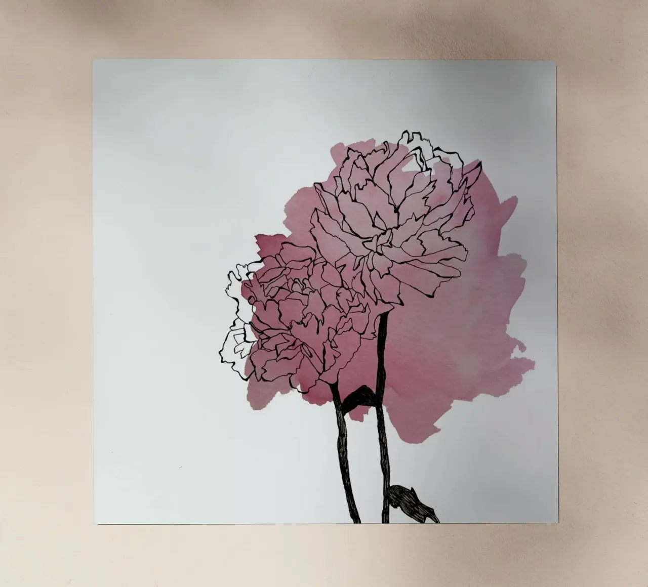 Peonies pellicola backlit da Morgan Kendall