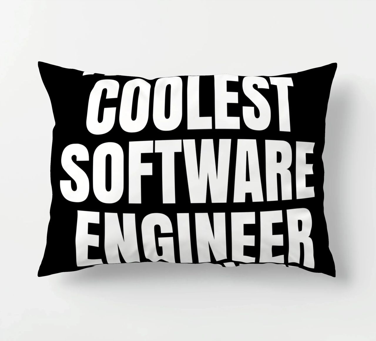 The most coolest software engineer in town cuscino da happieeagle