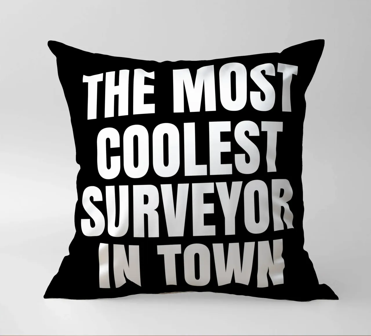 The most coolest surveyor in town cuscino da happieeagle