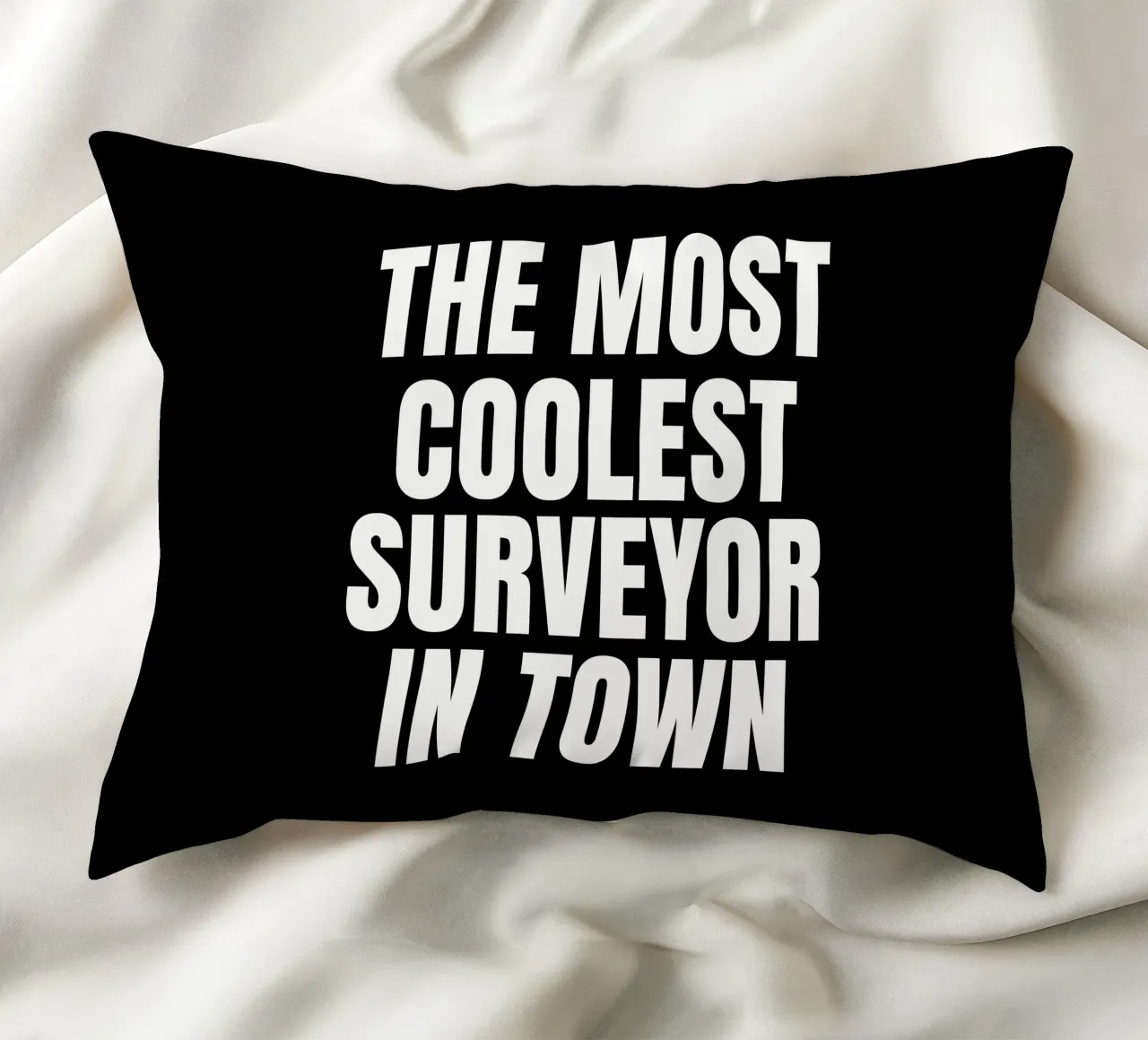 The most coolest surveyor in town cuscino da happieeagle