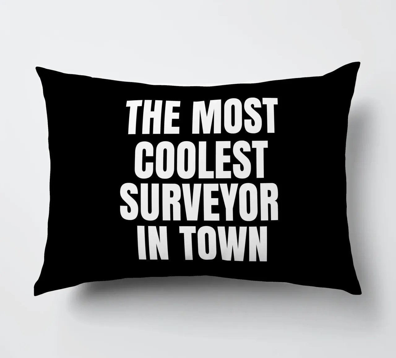 The most coolest surveyor in town cuscino da happieeagle