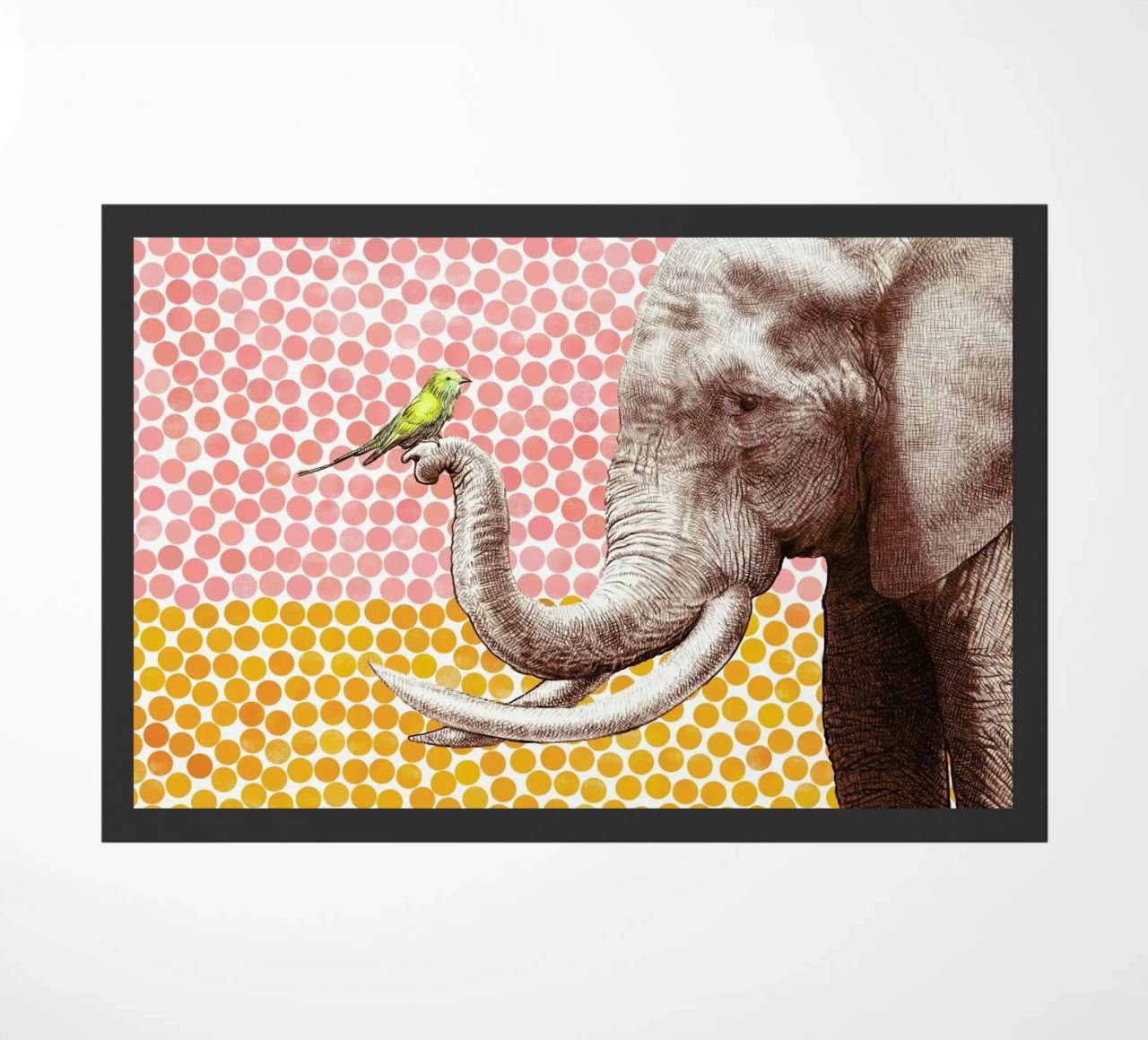 Elephant and Bird zerbino da Eric Fan