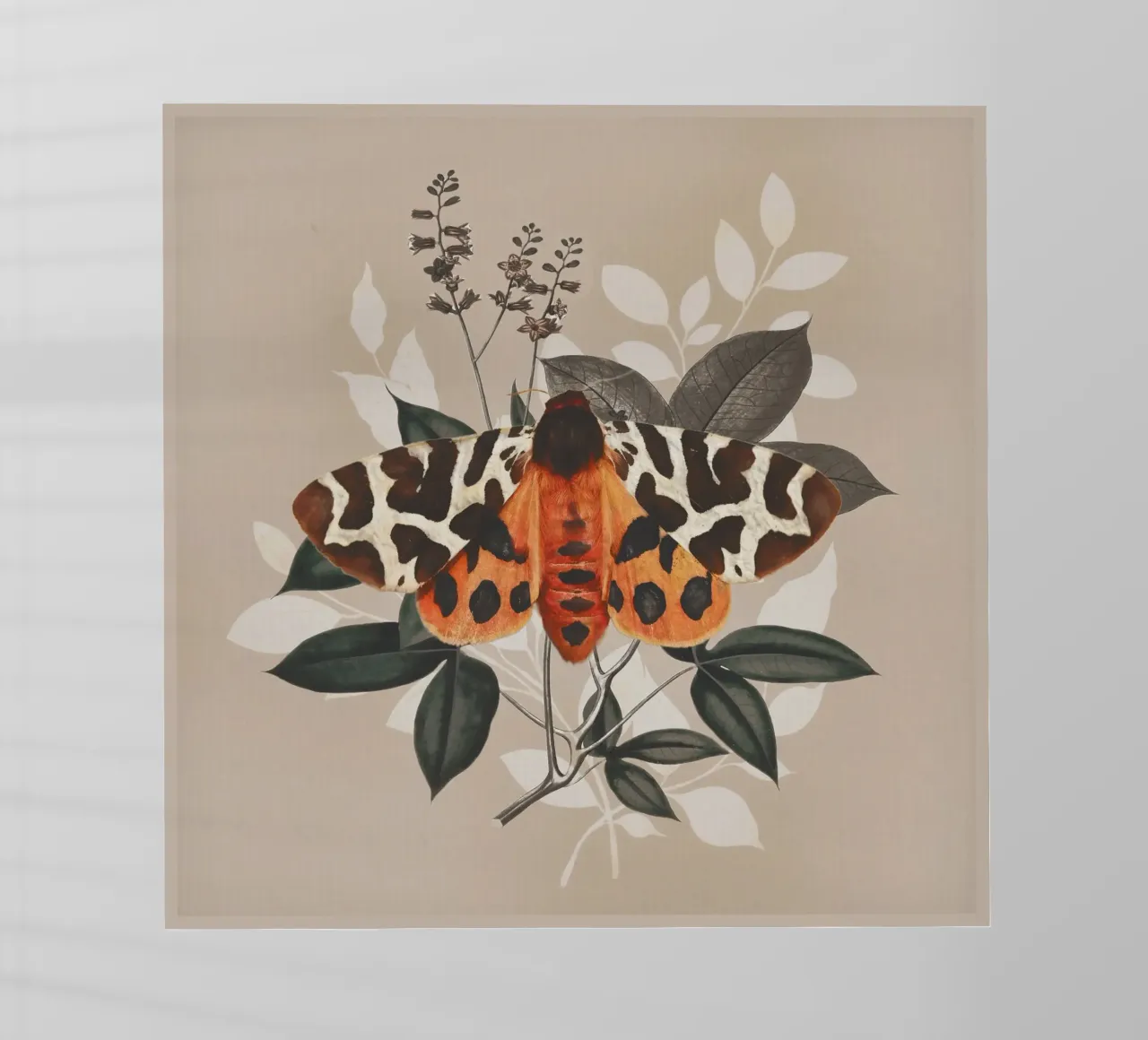 Farfalla pellicola backlit da dada22