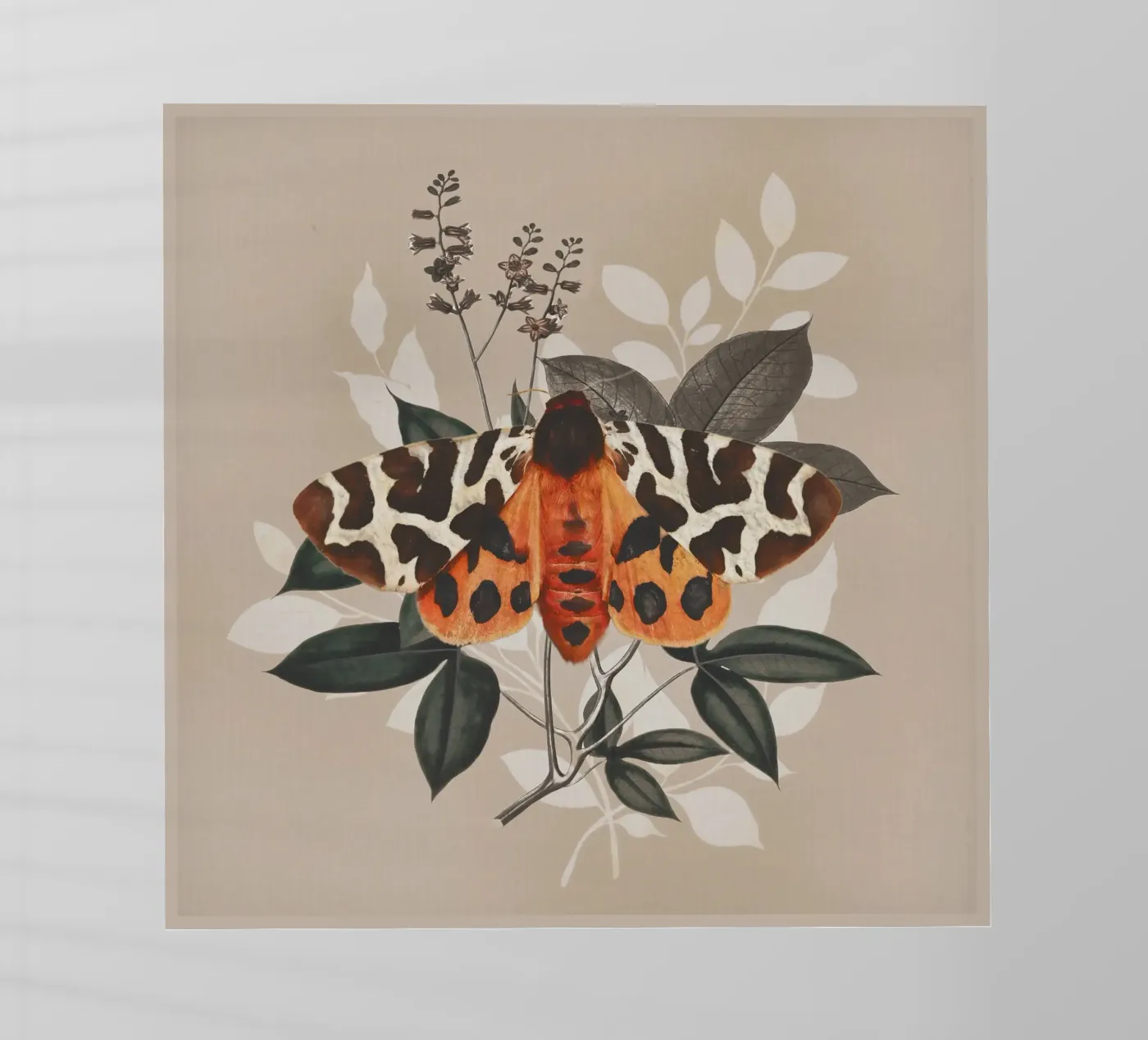 Butterfly backlit film by dada22